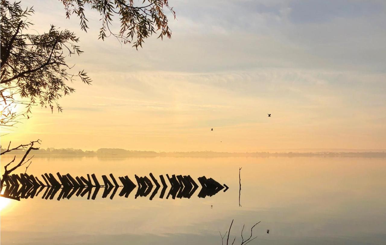 Nice Home In Lembruch-Duemmer See With Sauna Buitenkant foto